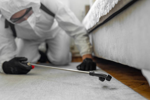 Professional Bed Bug Control technician working in Wyomissing, PA