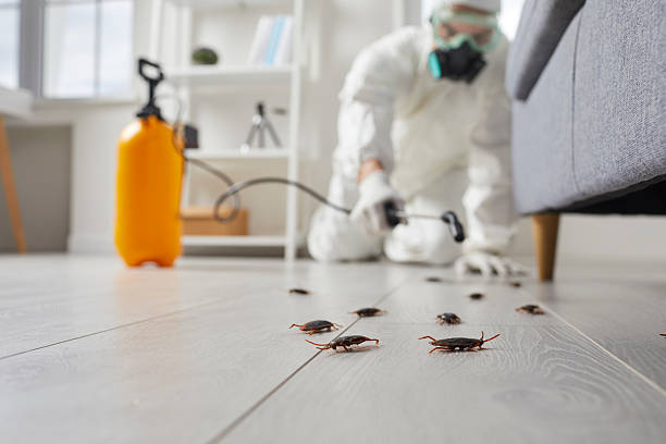 Trusted Cockroach Control service in Wyomissing, PA - Nex Pest Control