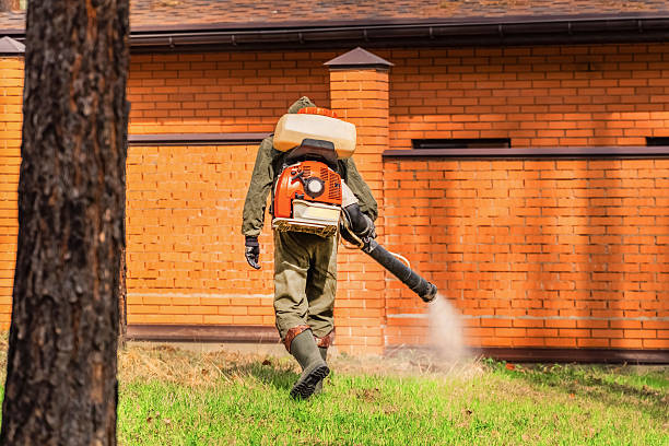 Trusted Bed Bug Control service in Wyomissing, PA - Nex Pest Control